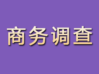 镇坪商务调查